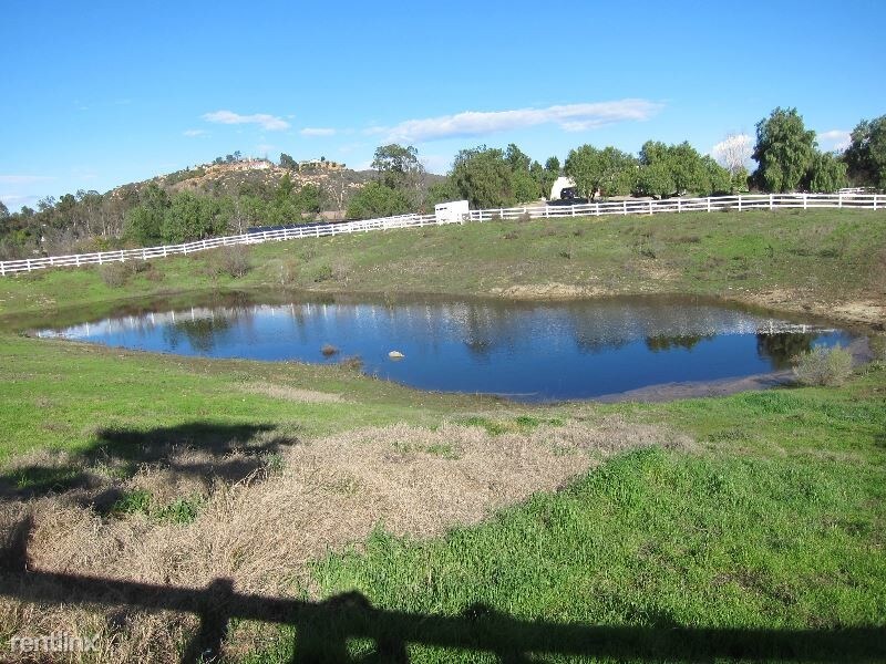 Primary Photo - 3 br, 2 bath House - 39065 Avenida Bonita