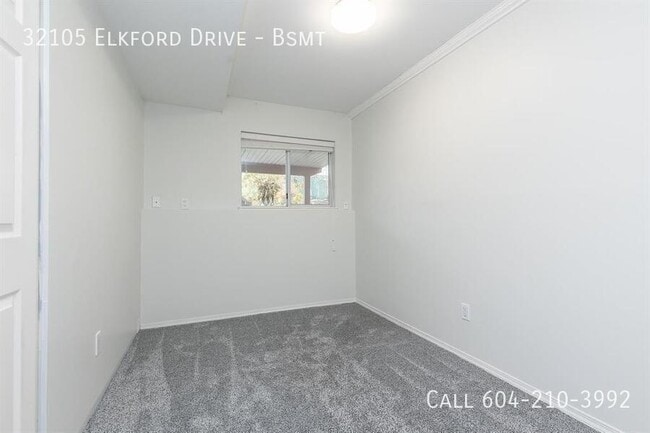 Building Photo - Spacious Basement Suite
