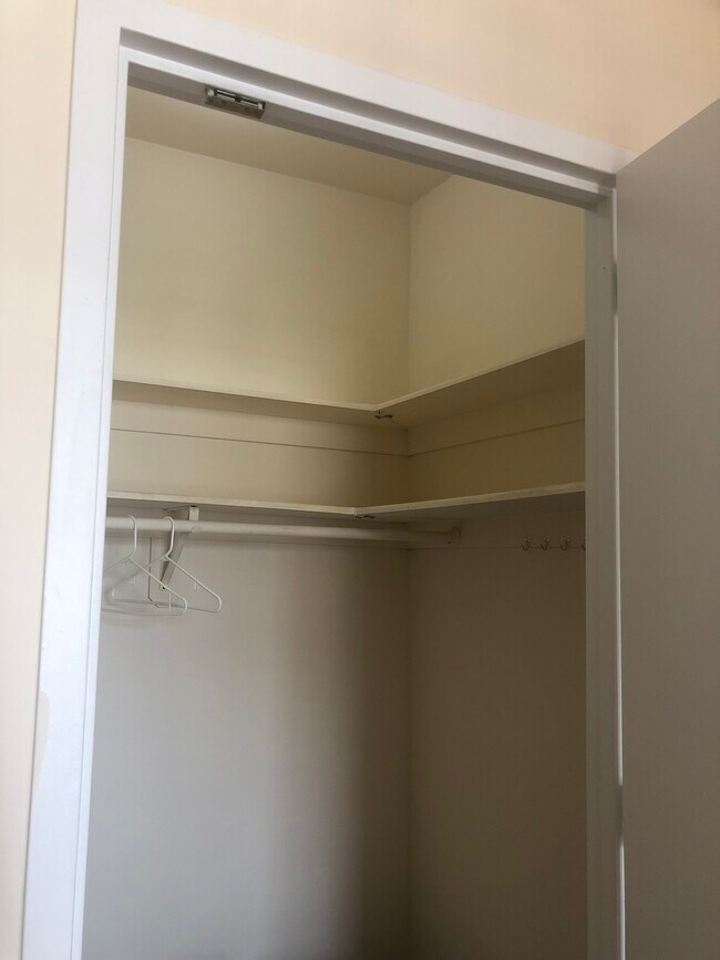 Walk-in Closet - 345 E 119th St