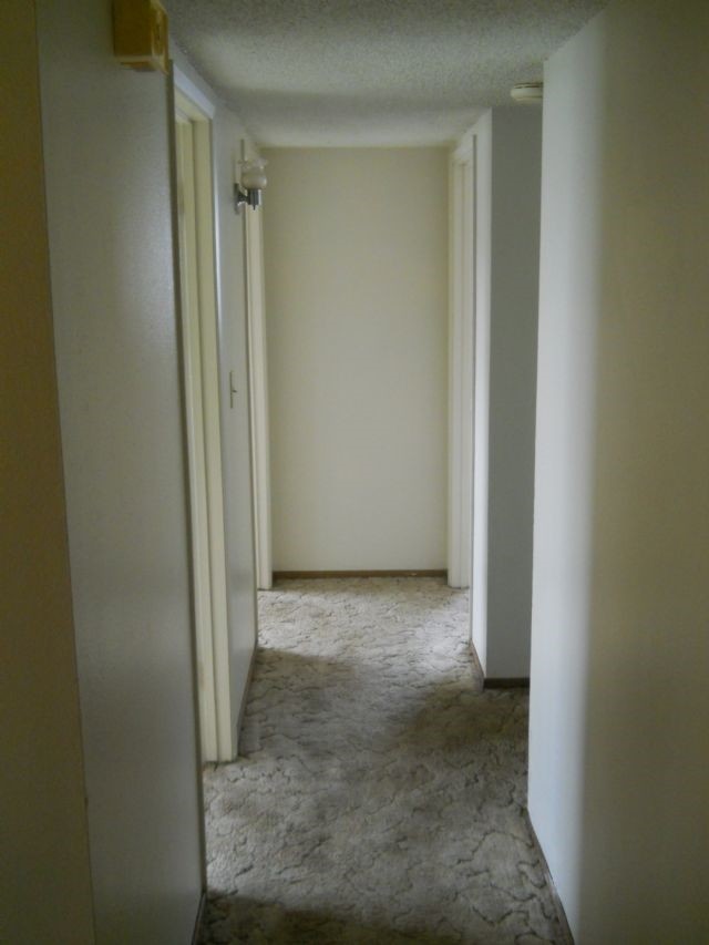 Foto del edificio - 505 Custer Ct