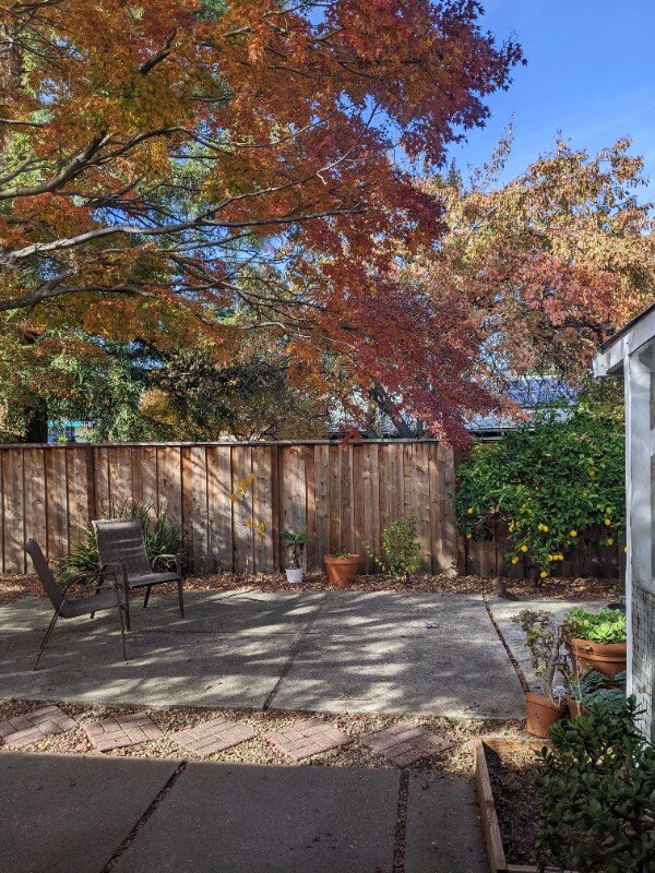 3985 Royal Arch Dr, Concord, CA 94519 Room for Rent in Concord, CA