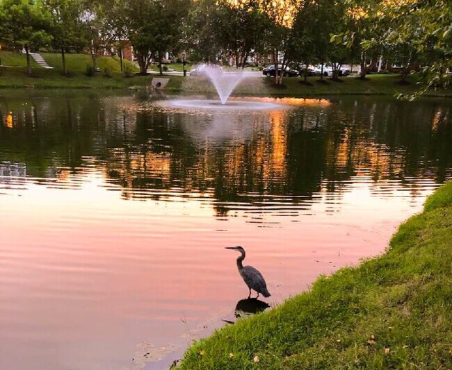 Foto del edificio - 7407 Pebble Lake Dr