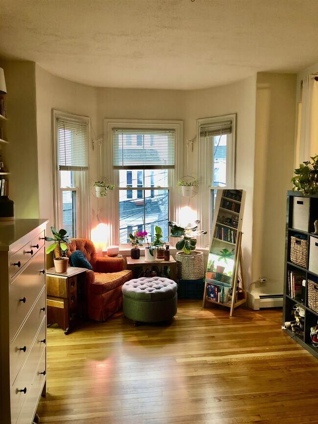 Building Photo - 45 Florence St