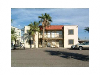 Primary Photo - Palo Verde