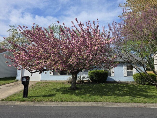 Foto del edificio - Ranch in Bear/Newark Area