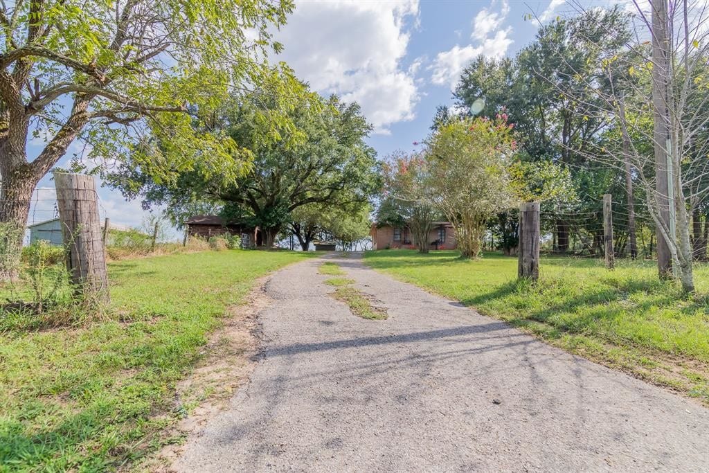 Primary Photo - 11290 FM 1484 Rd