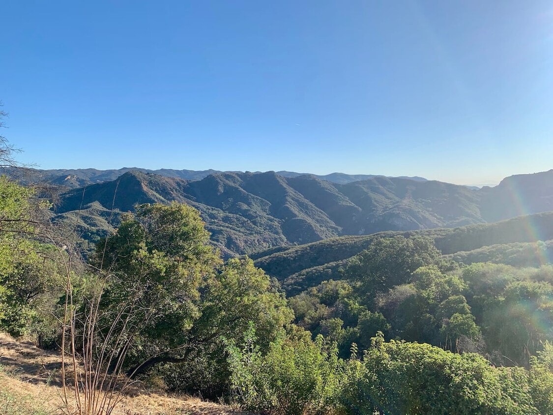 20651 Medley Ln Unit Loft, Topanga, CA 90290 Apartments in Topanga