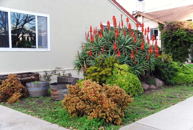 Front yard - 5129 Miles Ave