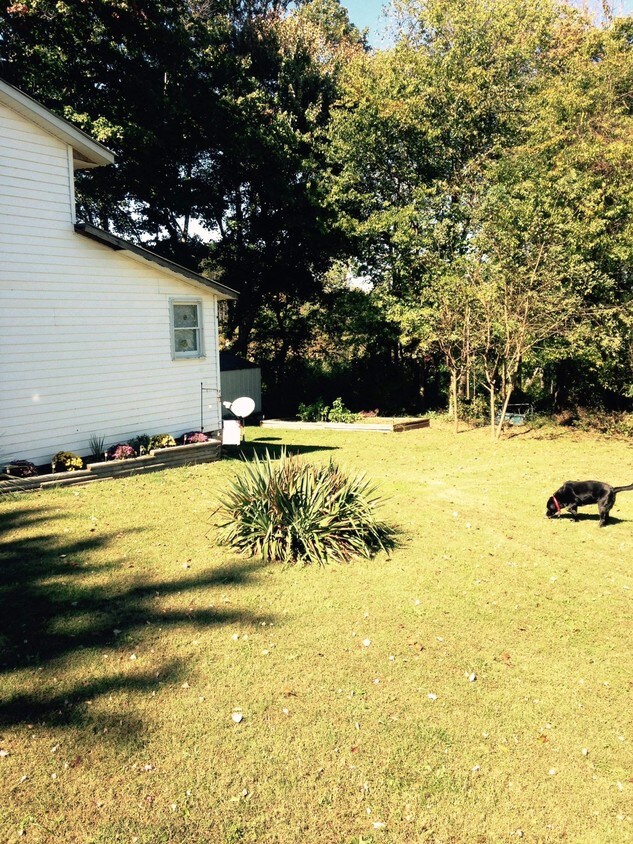 341 Cotton Pointer Rd, Semora, NC 27343 House Rental in Semora, NC