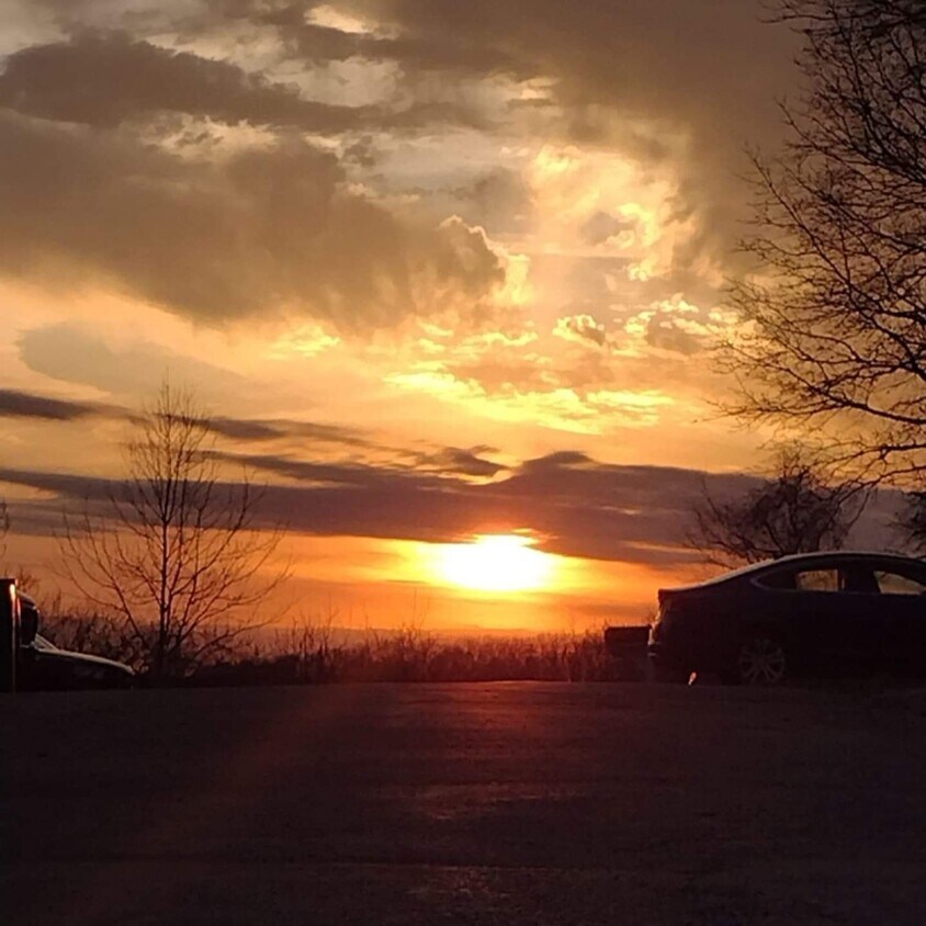 Foto principal - 256 Golden Crest Dr