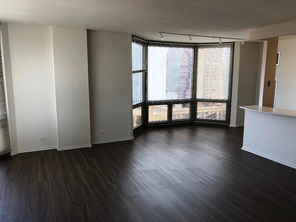 1160 N Dearborn St Unit 1 Chicago Il 60610 Apartment For Rent In Primary Photo 1160 N Dearborn St