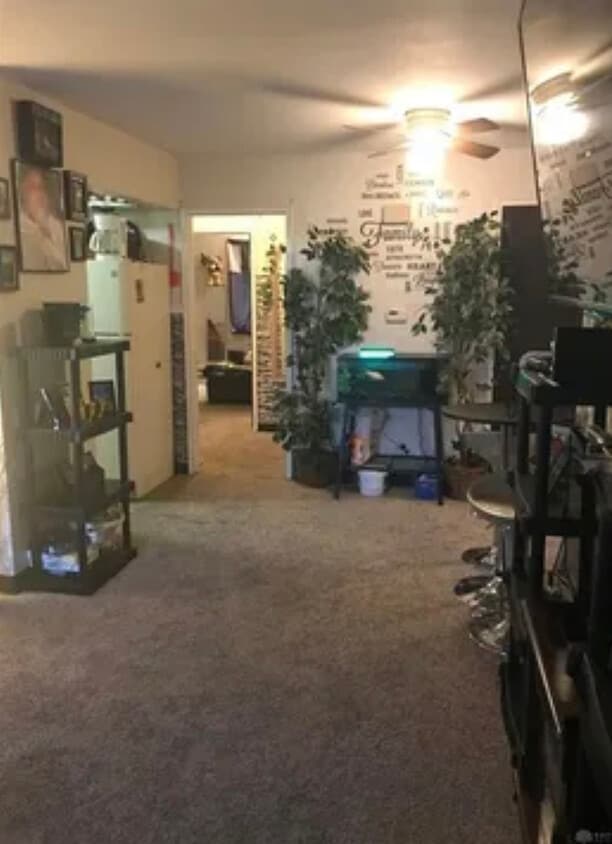 Unit does not come furnished, tenant allowed showing. - 803 Uhrig Ave