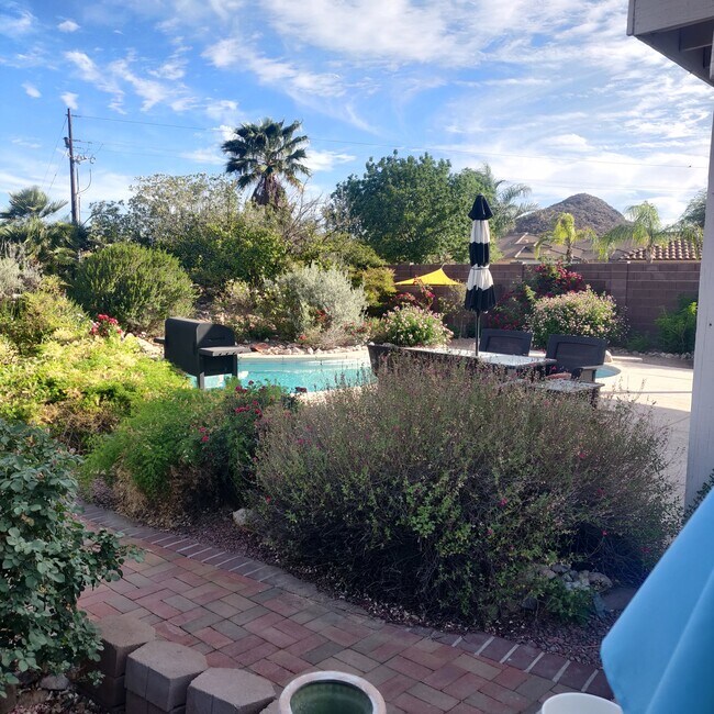 Foto del edificio - 2561 W Brandy Crest Dr