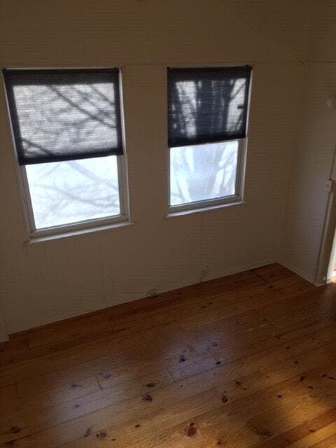 Photo - 2536 Amber St Apartment