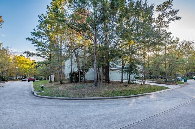 Building Photo - 27 N Walden Elms Cir