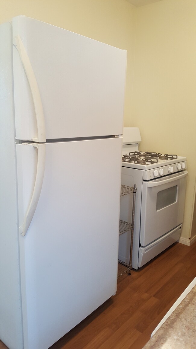 Gas stove - 3140 Collier Ave