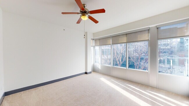 Interior Photo - Domus
