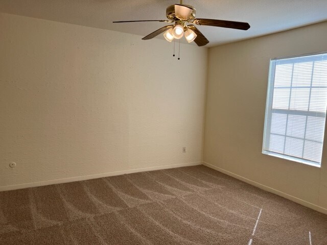 Foto del edificio - 9101 Country Creek St