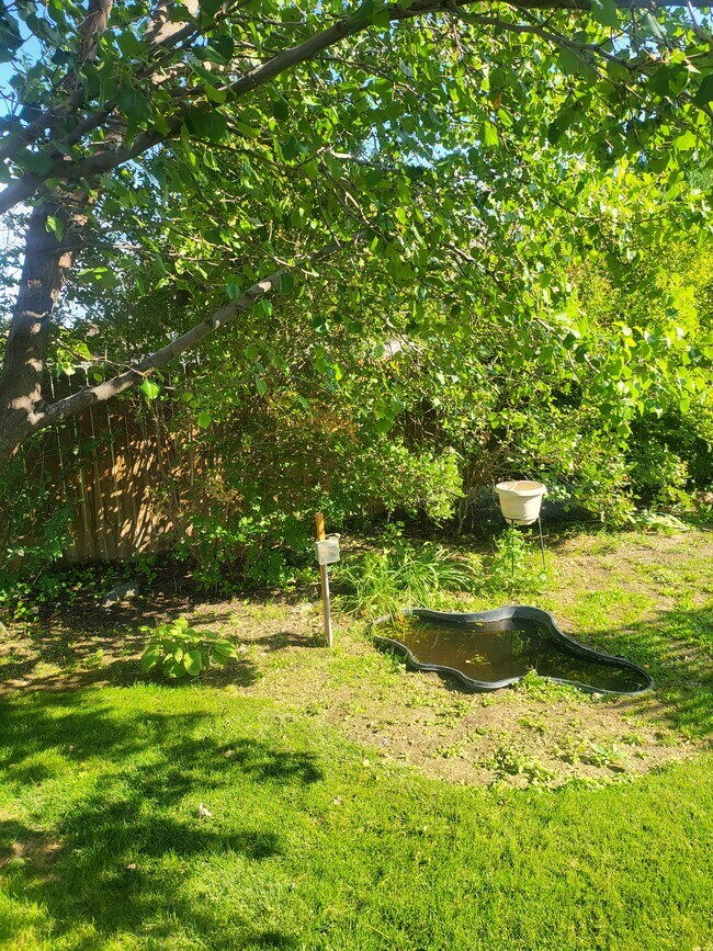 Building Photo - 456 Shadetree Trl