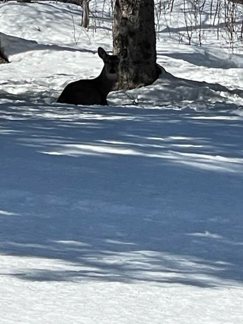 Foto del edificio - 5005 Glenwood St