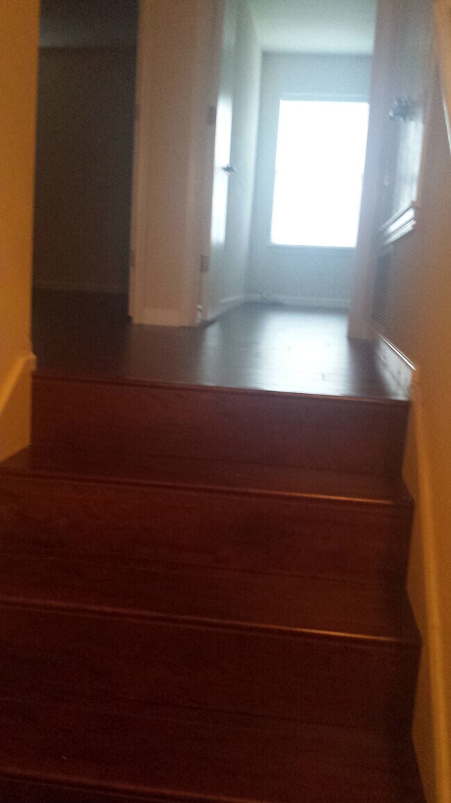 Escaleras (¡no alfombra!) - 5713 Abby Ann Ln
