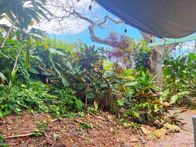 Foto del edificio - 81-6312-6467 Mamalahoa Hwy