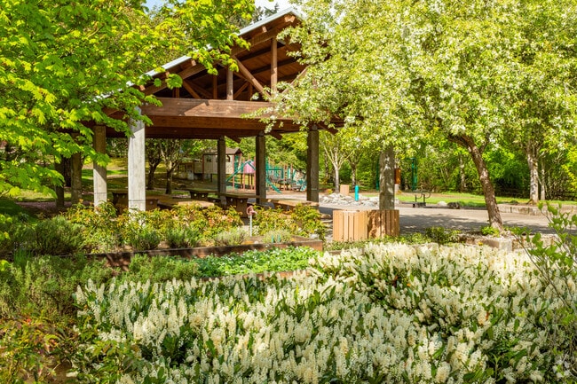 Trees blooming over a sitting area in Jurgens Park in the Sherwood/Tualatin North Neighborhood.
