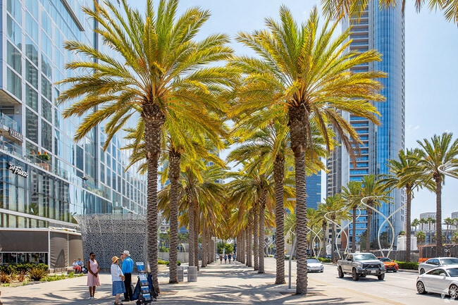 Sidewalks lined with tall palm trees are a common sight in Marina District.