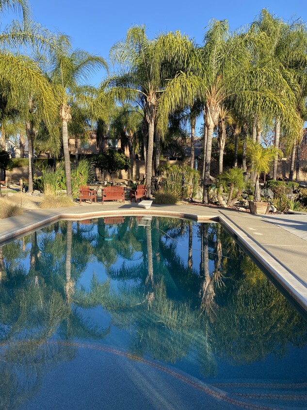 Main pool area - 1305 E San Bernardino Ave