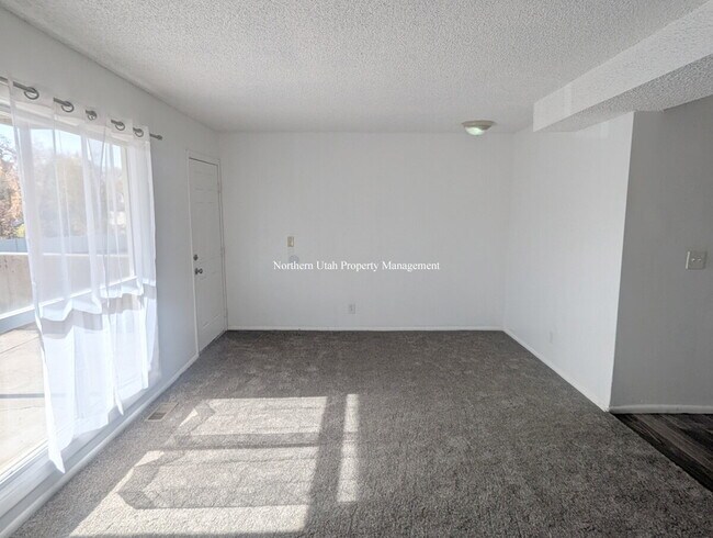Foto del edificio - All New Carpet - 2 Bed, 1 Bath