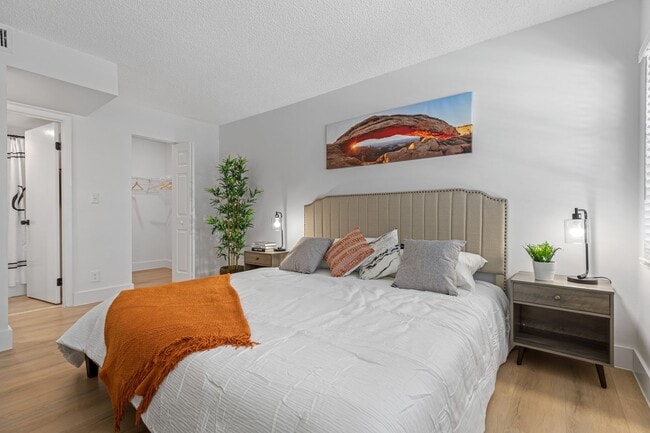 Interior Photo - Circle Sunrise