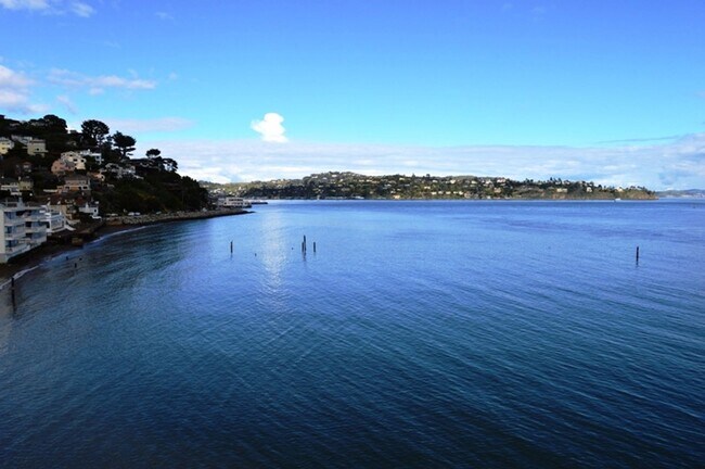 Building Photo - Studio with a Stunning Water View!