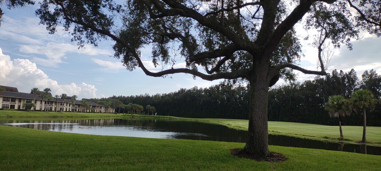 Foto principal - 20 Plantation Dr
