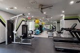 This fitness center is designed to support a comprehensive workout experience, combining cardio, strength, and functional training equipment within a single, well-organized space. The interior is defined by a striking visual identity: bold black and green geometric patterns adorn the walls, creating an energetic and motivating atmosphere throughout. Recessed lighting and ceiling fans maintain a bright and comfortable environment during workouts.

The cardio zone features multiple Star Trac treadmills and elliptical machines, alongside stationary and upright bikes, all positioned to allow ample space between users. A wall-mounted flat-screen television accompanies the cardio area for entertainment during sessions. Strength training is well represented with True and Star Trac cable and resistance machines, adjustable benches, and a dedicated free weights area stocked with a full dumbbell rack.

A functional training station offers stability balls in multiple sizes, medicine balls, resistance bands, and foam rollers, all neatly organized on a freestanding rack. Light wood-look flooring transitions to rubber flooring in equipment-heavy zones, providing appropriate support and safety. Large wall mirrors visually expand the space and assist with form during exercise. Frosted glass doors provide a clean, private entry to the facility.