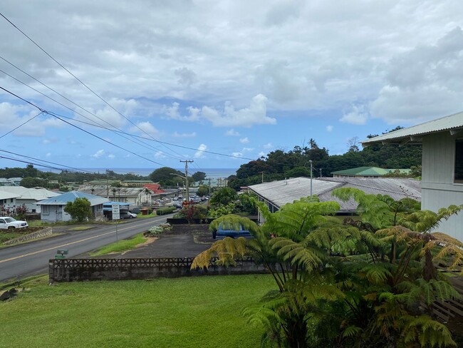Building Photo - Hilo -Close to Downtown