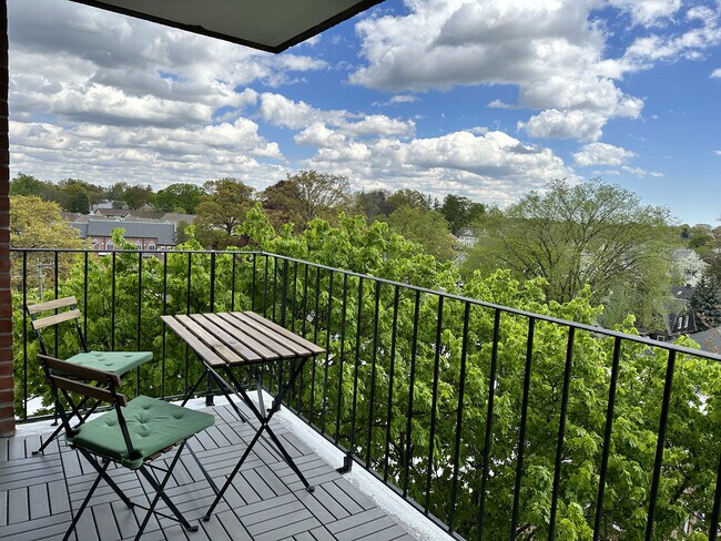 View from the Balcony - 87 Glenbrook Rd Apartment