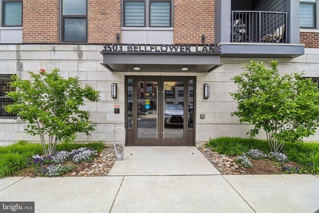 Foto del edificio - 3503 Bellflower Ln