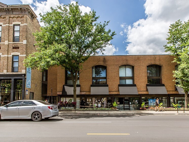 Primary Photo - 1802 N Halsted St