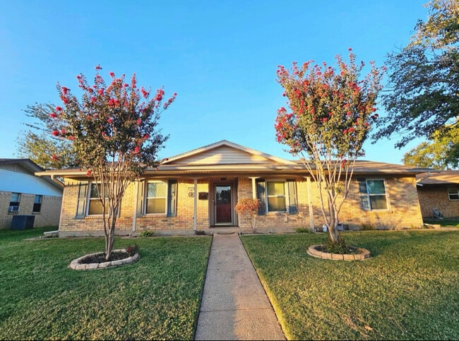 Building Photo - 1609 San Antonio Ln