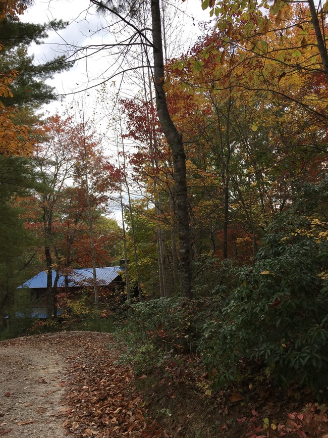 Foto del edificio - Fall Creek Cabins