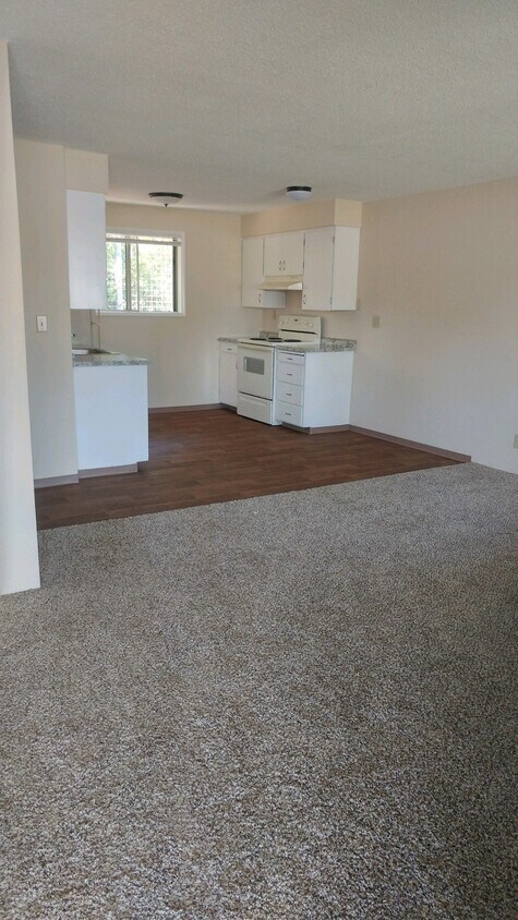 Foto principal - 433 Holly St