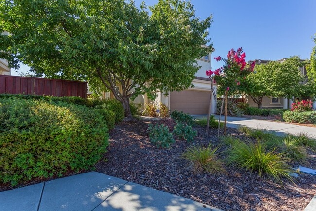 Foto del edificio - Beautiful 3 Bed/2.5 Bath 2- Story Home