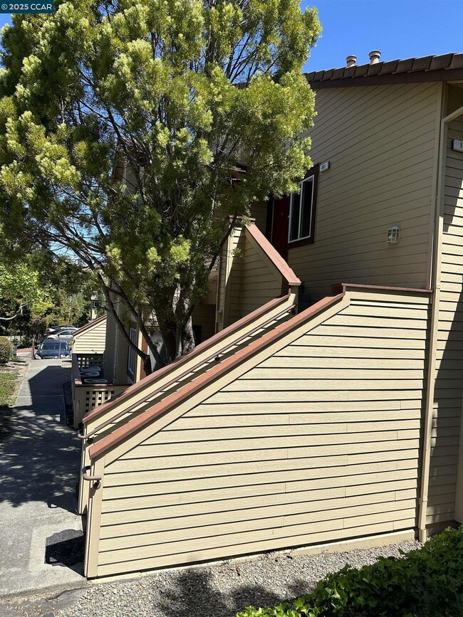 Building Photo - 161 Tuscany Ct