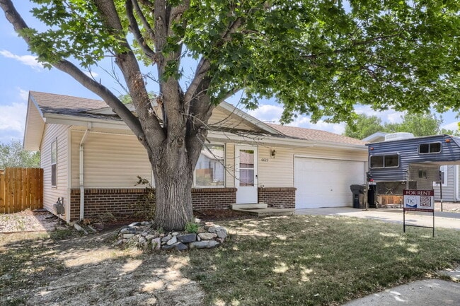 Building Photo - 6629 Zang Cir