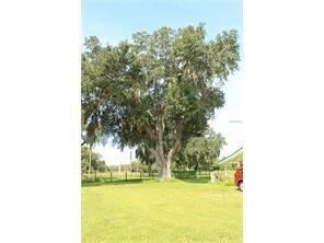 Building Photo - 2 br, 1 bath House - 1055 Narcoossee Rd