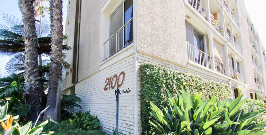 197 Apartments for Rent in Belmont Shore, CA Westside Rentals