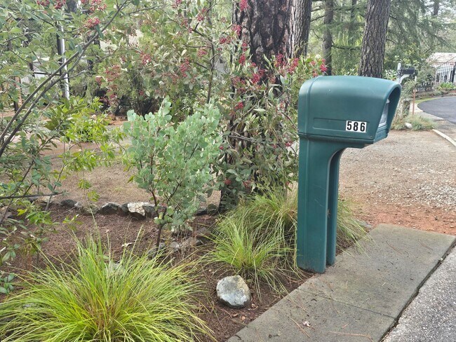 Foto del edificio - Light and Airy 2 Bedroom 2 Bath In Heather Glen Estates