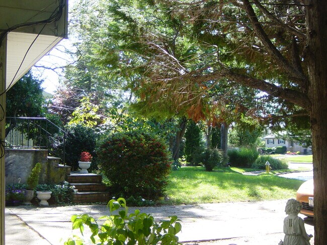 área - 283 Coronado St