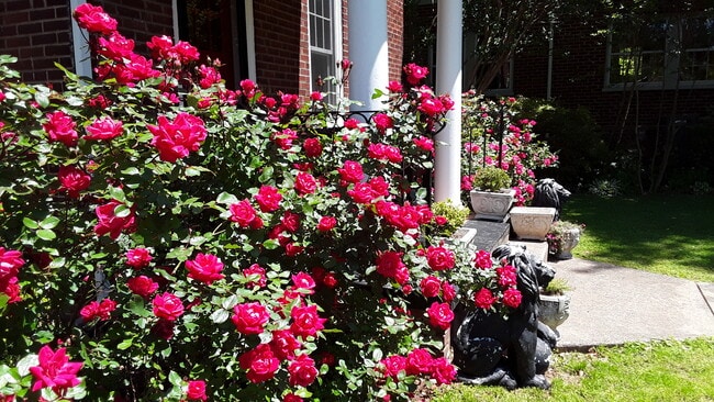 Building Photo - 313 Parkway St