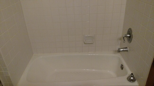 Full standard tube and shower - 67 Pine St